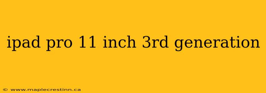 ipad pro 11 inch 3rd generation