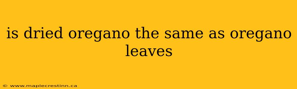 is dried oregano the same as oregano leaves
