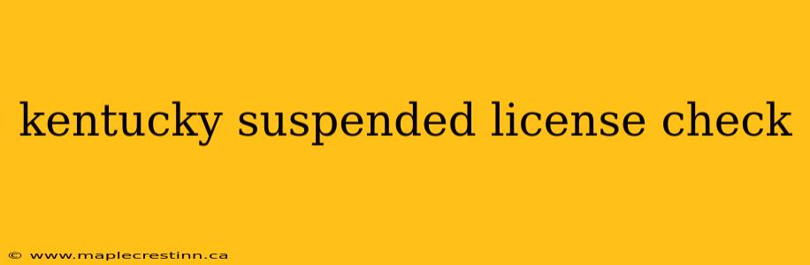 kentucky suspended license check