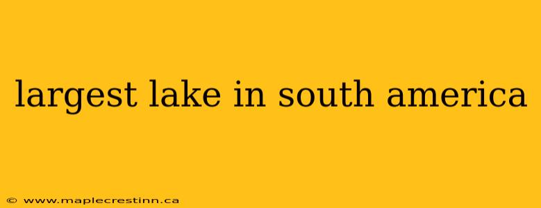 largest lake in south america