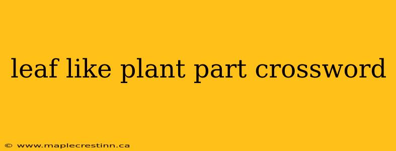 leaf like plant part crossword