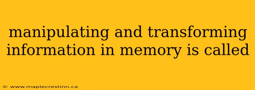 manipulating and transforming information in memory is called