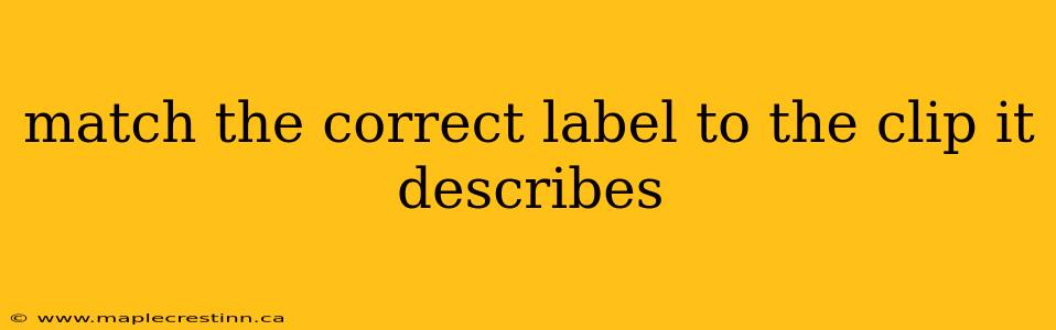 match the correct label to the clip it describes