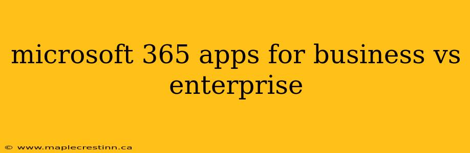 microsoft 365 apps for business vs enterprise