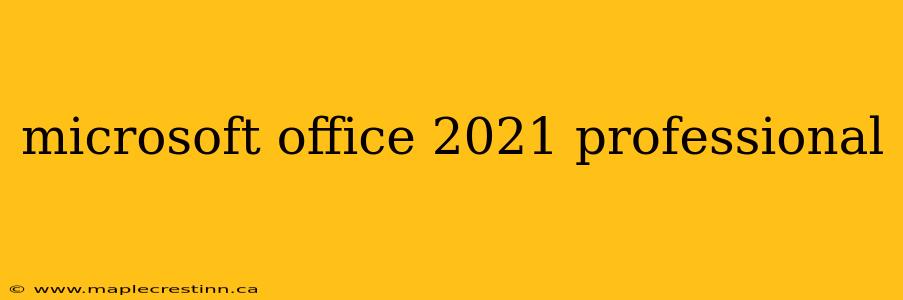 microsoft office 2021 professional