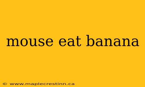 mouse eat banana