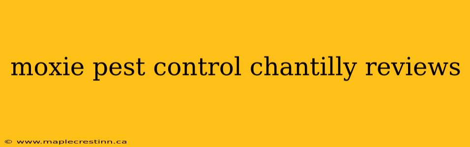 moxie pest control chantilly reviews
