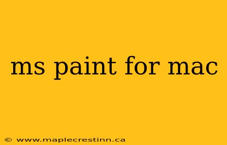 ms paint for mac