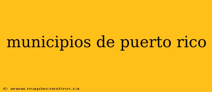 municipios de puerto rico