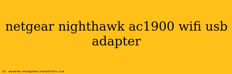 netgear nighthawk ac1900 wifi usb adapter