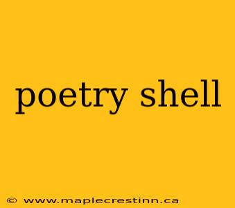 poetry shell