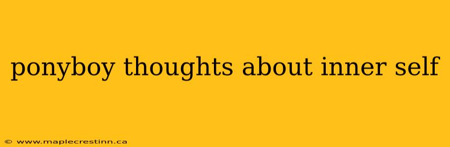 ponyboy thoughts about inner self