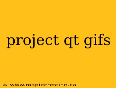 project qt gifs