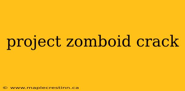 project zomboid crack