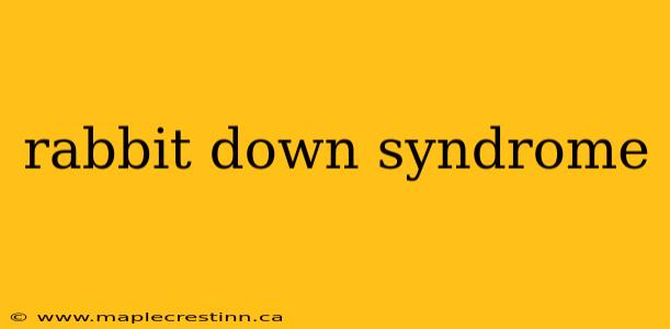 rabbit down syndrome