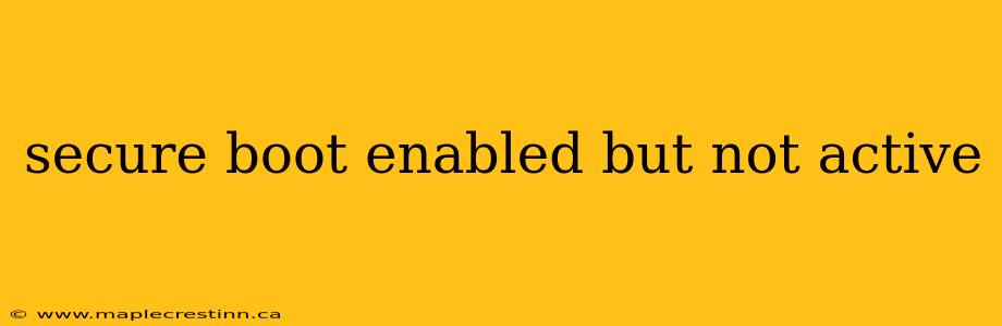 secure boot enabled but not active
