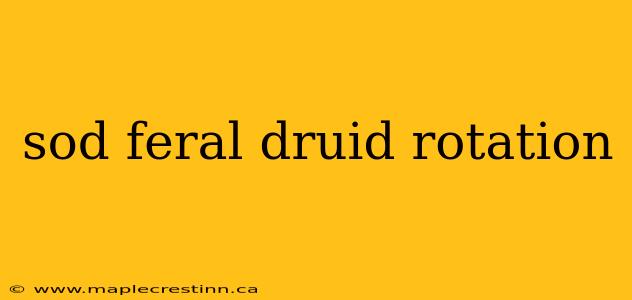 sod feral druid rotation