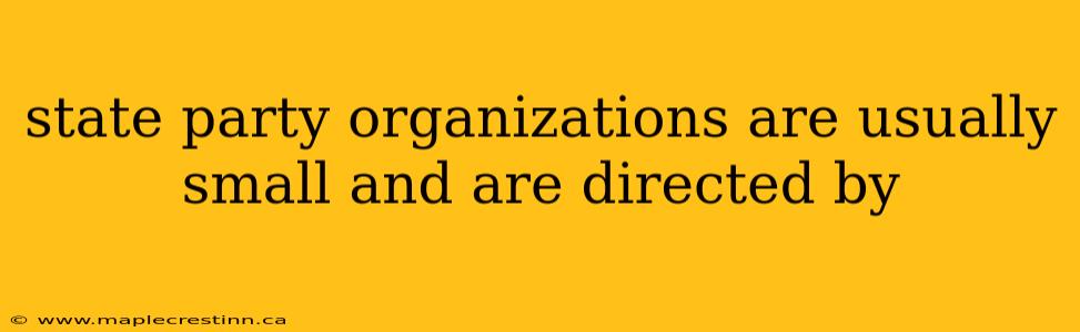 state party organizations are usually small and are directed by