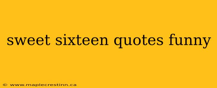 sweet sixteen quotes funny