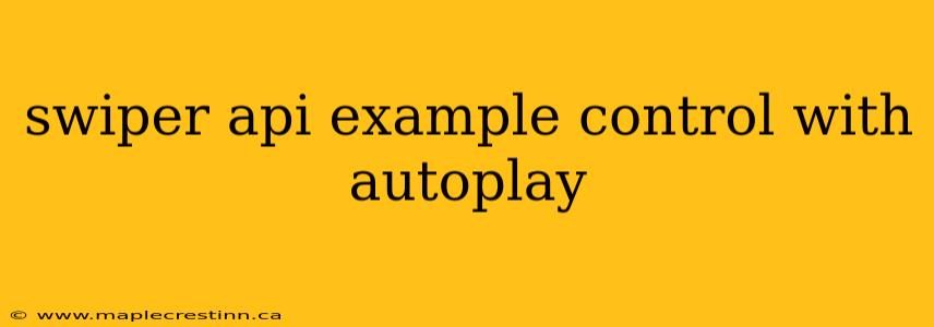 swiper api example control with autoplay