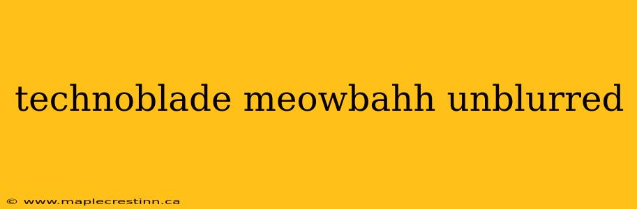 technoblade meowbahh unblurred