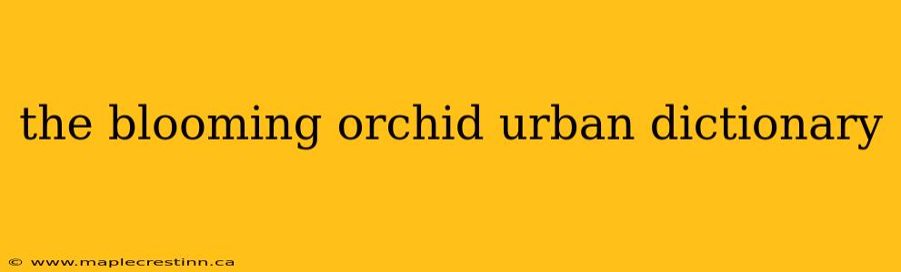 the blooming orchid urban dictionary