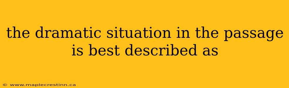 the dramatic situation in the passage is best described as