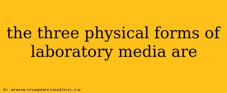 the three physical forms of laboratory media are