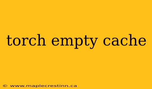 torch empty cache