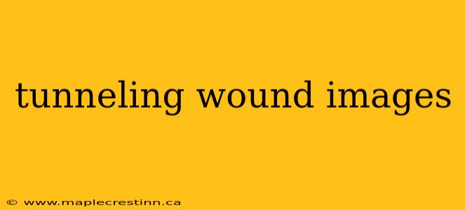 tunneling wound images