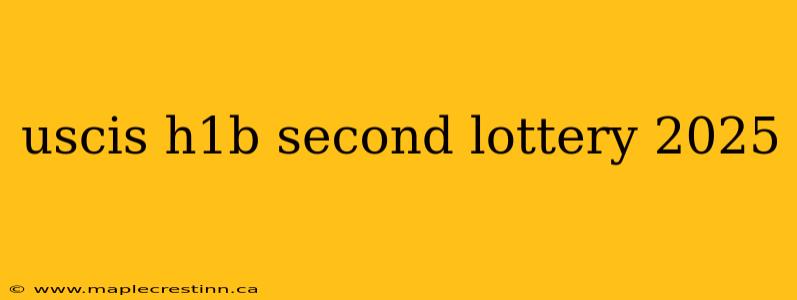 uscis h1b second lottery 2025