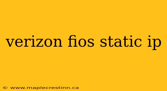verizon fios static ip