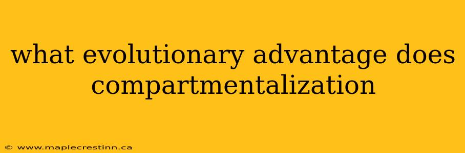 what evolutionary advantage does compartmentalization
