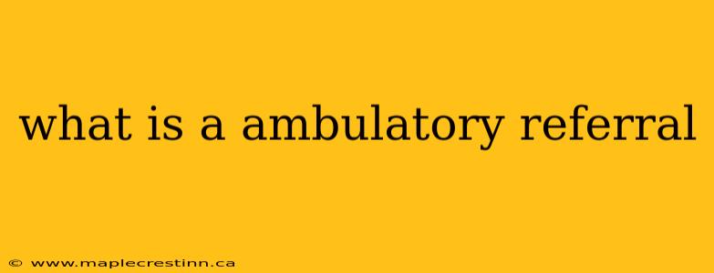 what is a ambulatory referral