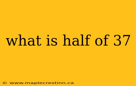 what is half of 37