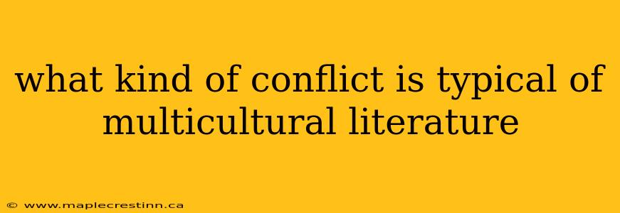 what kind of conflict is typical of multicultural literature