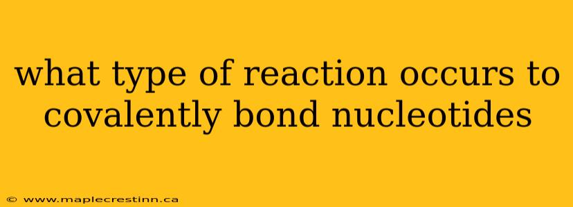 what type of reaction occurs to covalently bond nucleotides