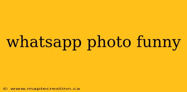 whatsapp photo funny