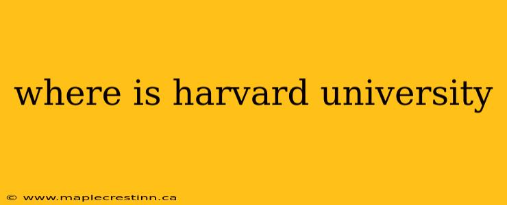 where is harvard university