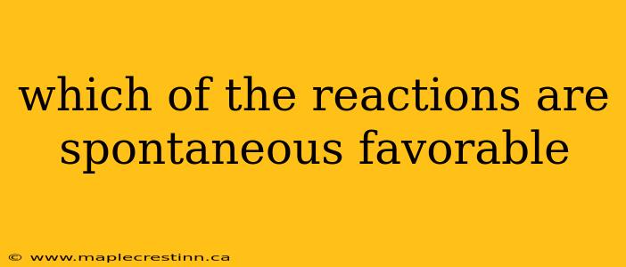 which of the reactions are spontaneous favorable