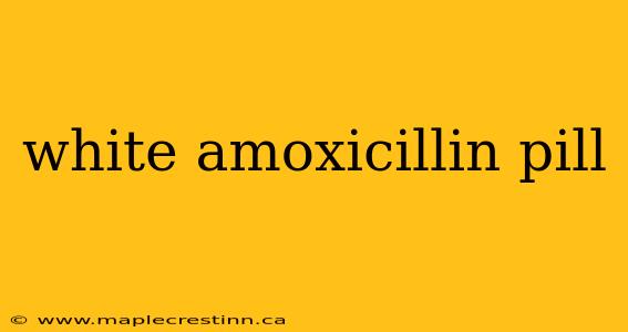 white amoxicillin pill