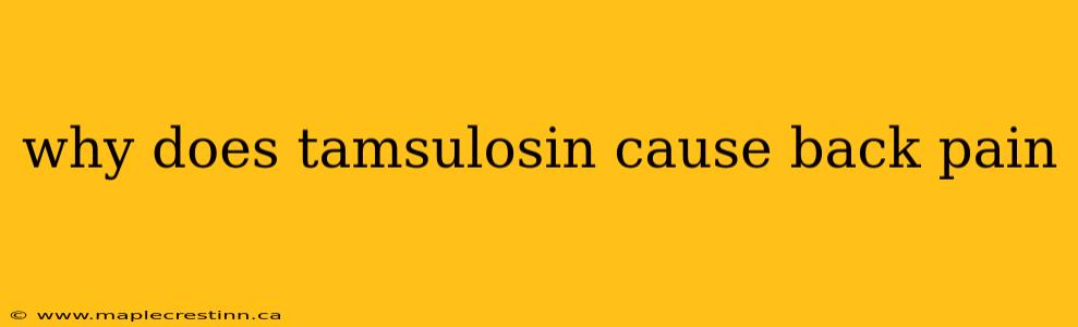 why does tamsulosin cause back pain