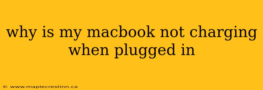 why is my macbook not charging when plugged in