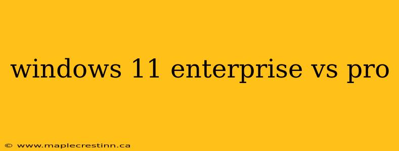 windows 11 enterprise vs pro