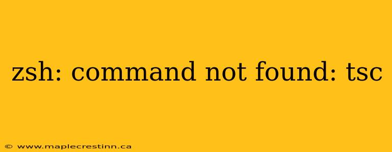 zsh: command not found: tsc